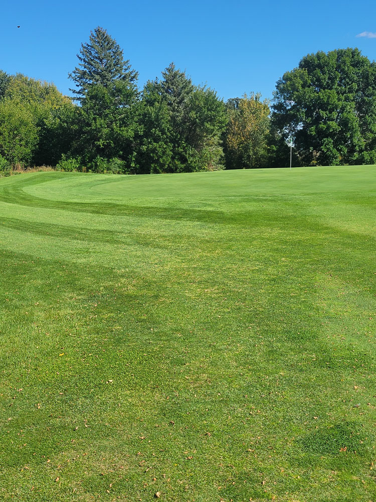 Golfers walking the fairway